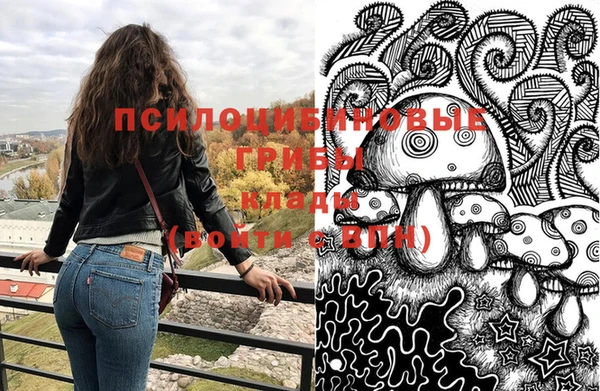 тгк Покров