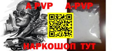 гашик Моздок