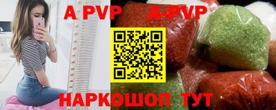 гашик Моздок