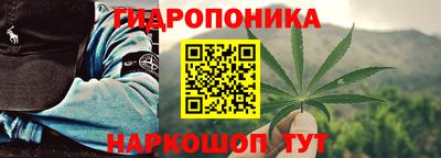гашик Моздок