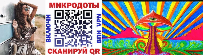 наркотики  Чебаркуль  Галлюциногенные грибы Psilocybine cubensis 